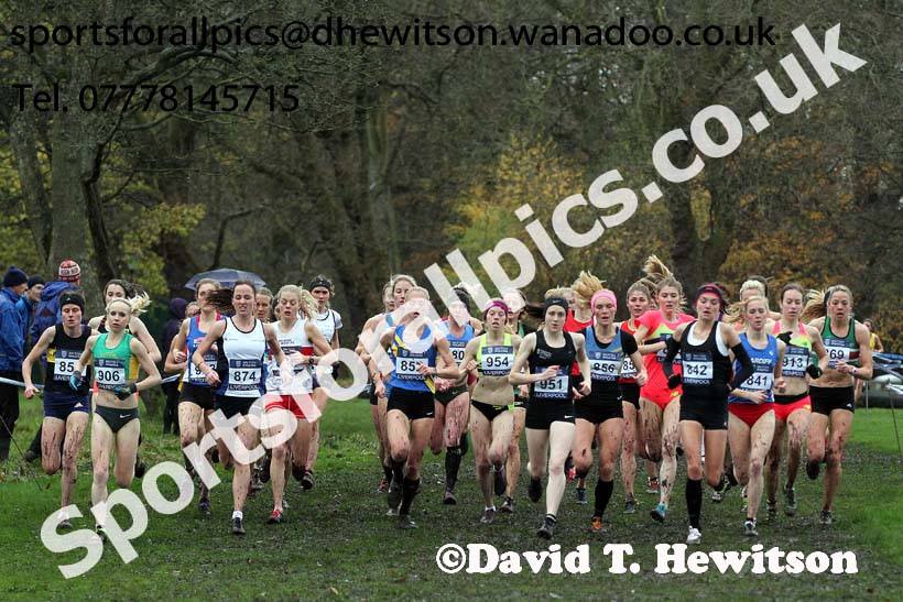 Senior women, British Athletics Liverpool Cross Challenge, Sefton Park, Liverpool. Photo: David T. Hewitson/Sports for All Pics